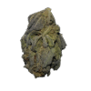 Pink Guava Strain
