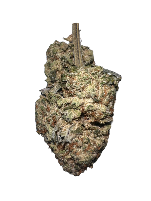 Jungle-Cake-600x800 kosher strain